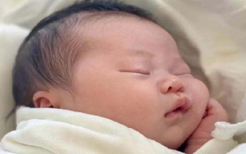 试管雌激素致癌代生