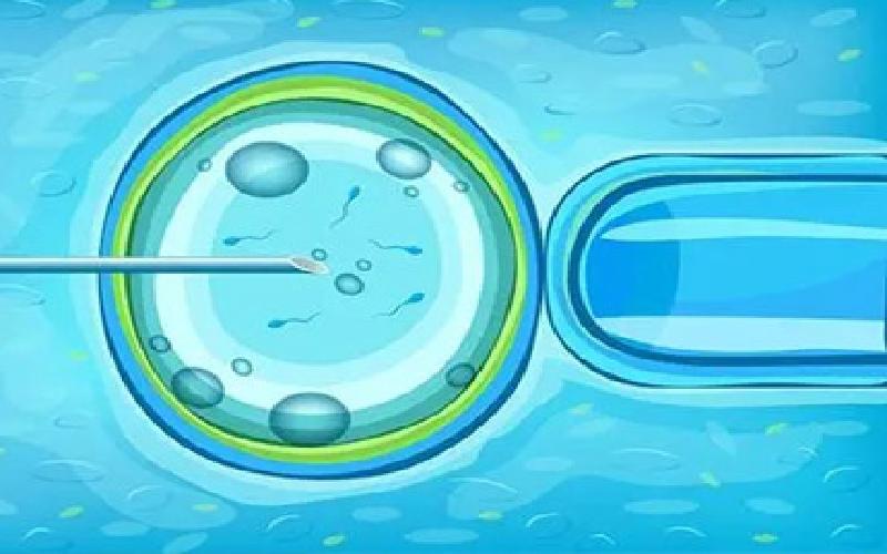 上游法 试管精子代生